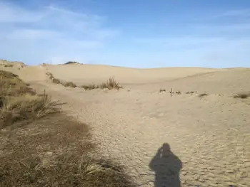 De Panne (België)